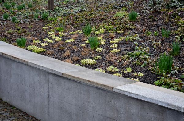 Concrete Wall Construction in Tyler
