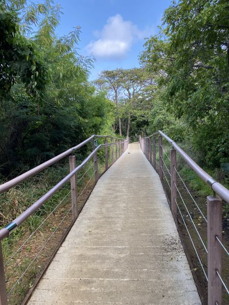 Footpath Construction Service