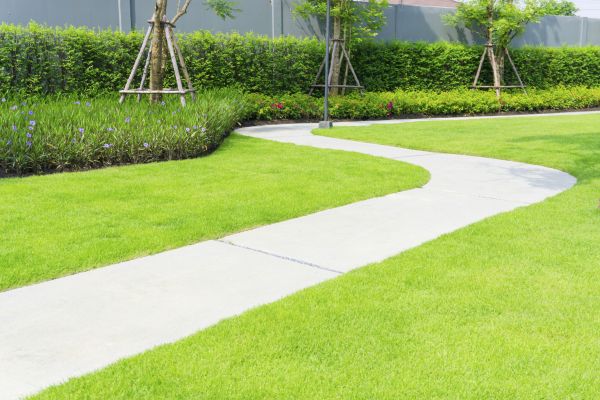 Pathway Establishment