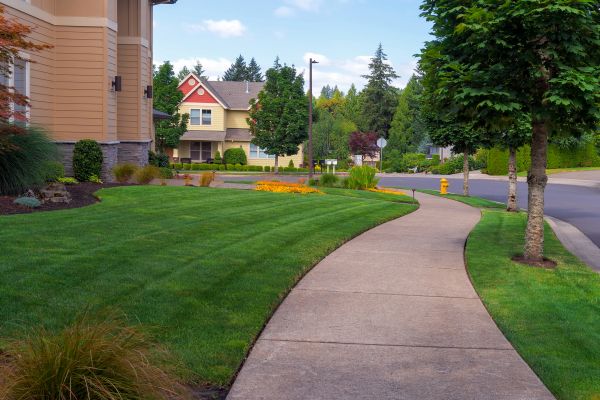 Sidewalk Extension
