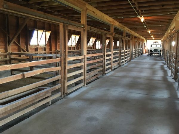Barn Floor Pouring in Tyler
