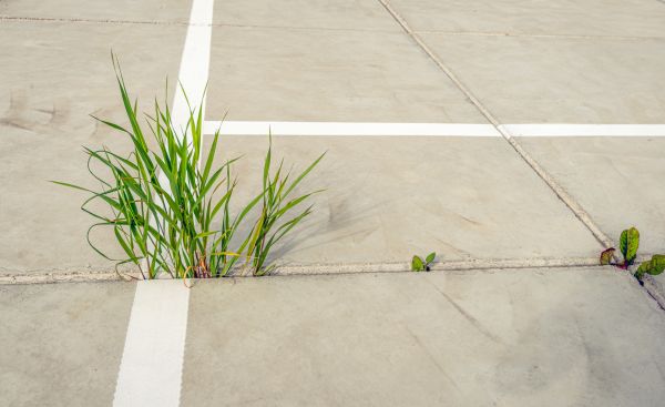 Concrete Parking Installation Service