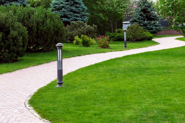 Backyard Sidewalk Installation in Tyler