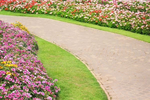 Concrete Walkway Service